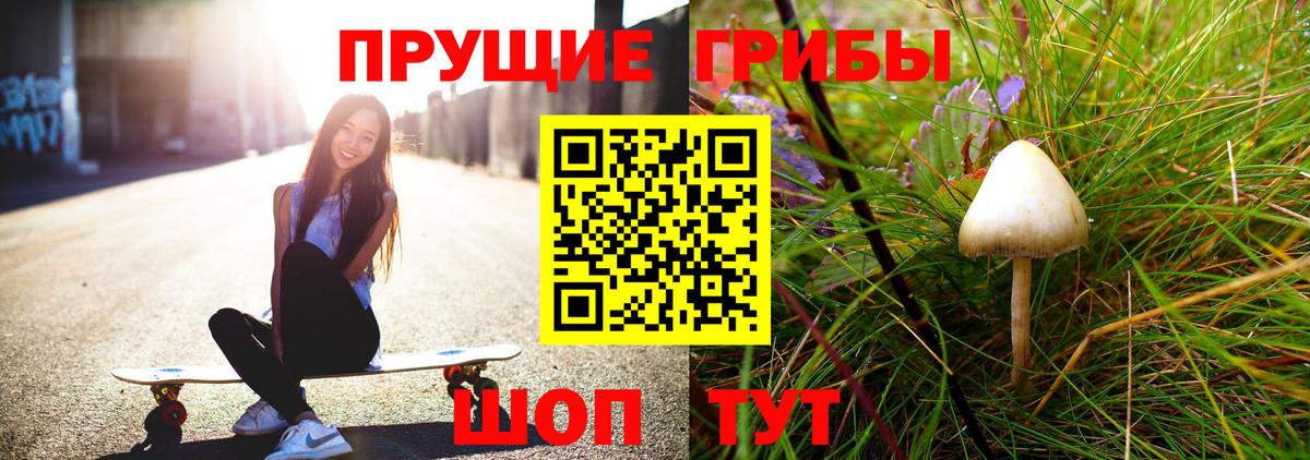 Галлюциногенные грибы GOLDEN TEACHER  Псилоцибиновые грибы Psilocybe  Вход с VPN  Черкесск 